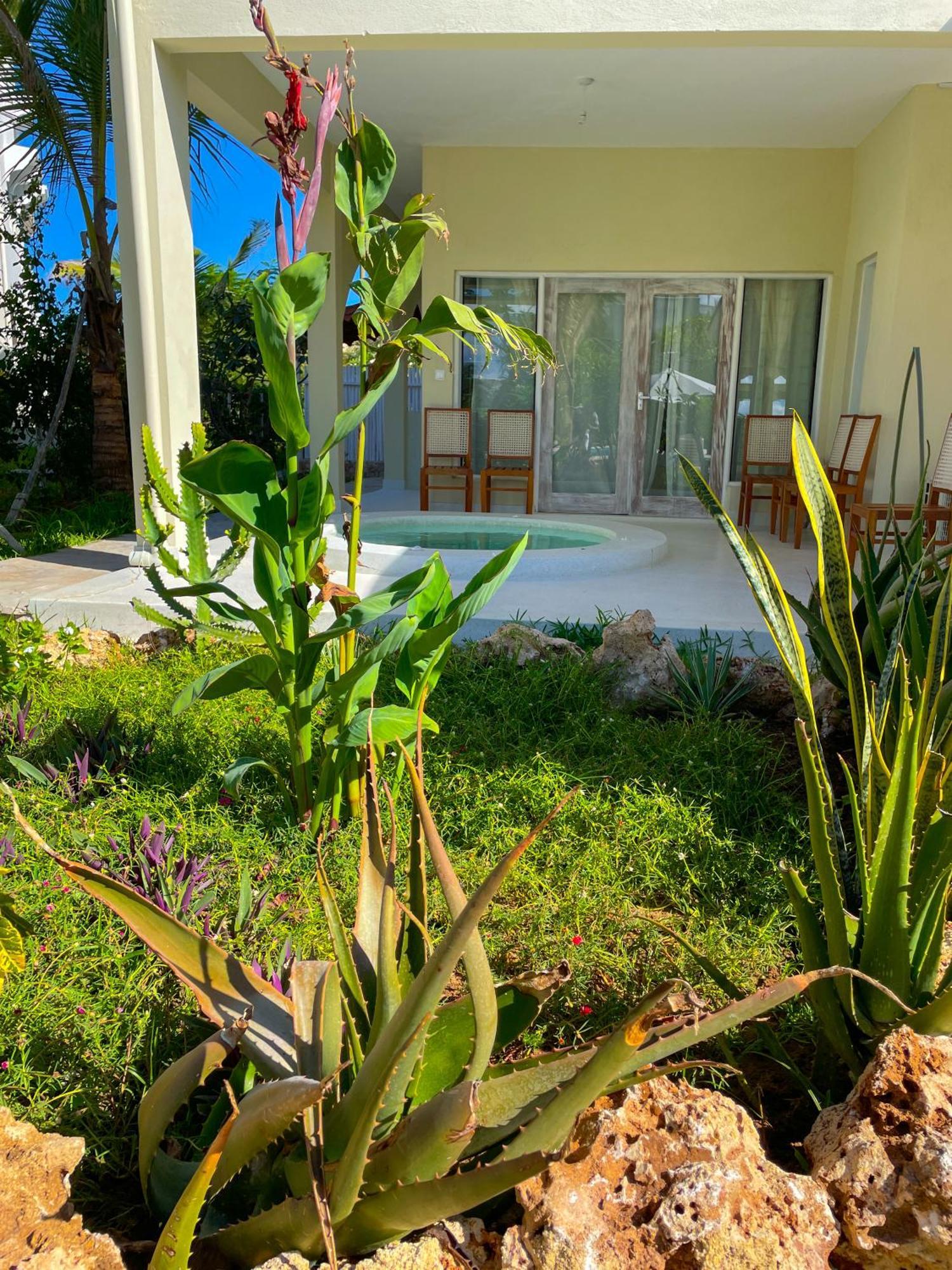 וואטאמו White Villa - Paparemo Beach מראה חיצוני תמונה
