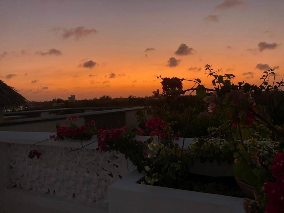 וואטאמו White Villa - Paparemo Beach מראה חיצוני תמונה