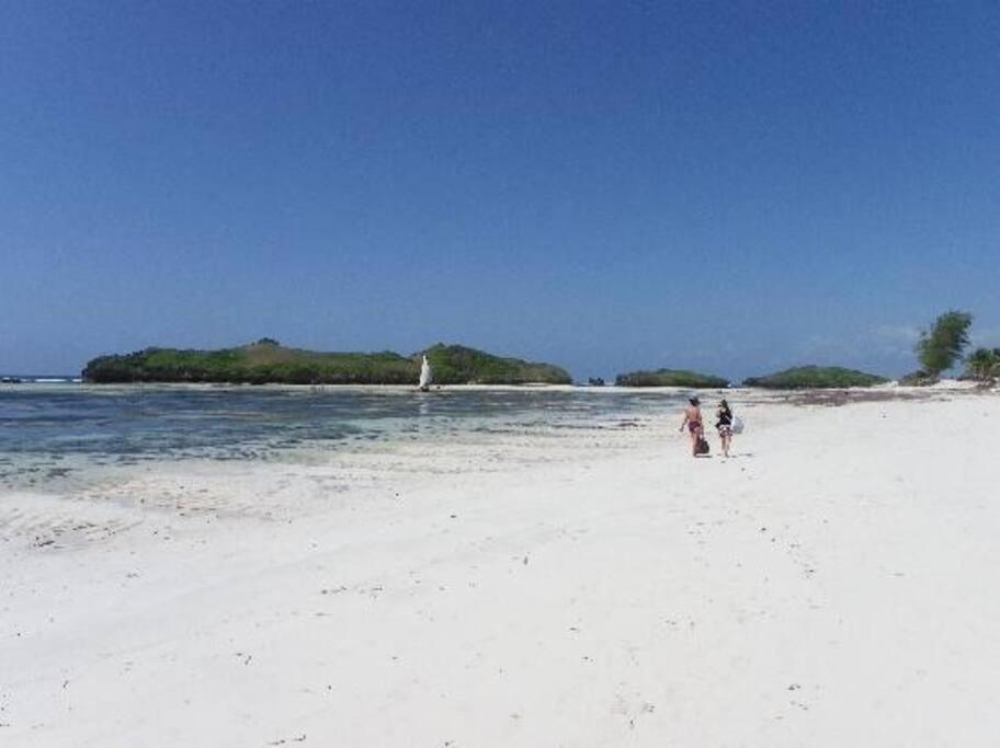 וואטאמו White Villa - Paparemo Beach מראה חיצוני תמונה